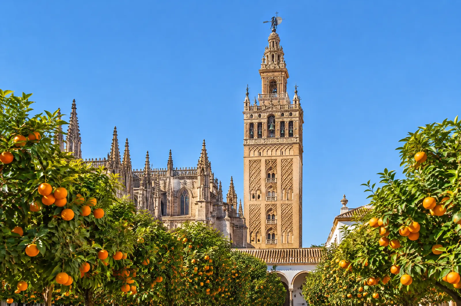 The Giralda bell tower and cathedral spires rising above orange trees